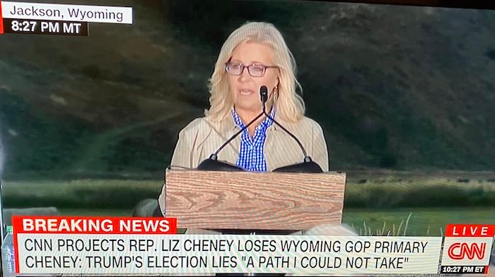 Image for Emil Guillermo: Liz Cheney wants you–for democracy's sake